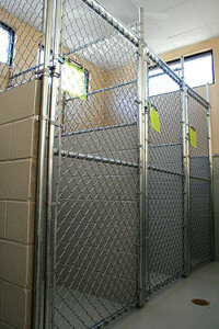 boarding and kennel services